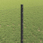 Recinzione in Rete Saldato Acciaio PVC 10 x 0,8 m