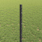 Recinzione in Rete Saldato Acciaio PVC 10 x 0,8 m