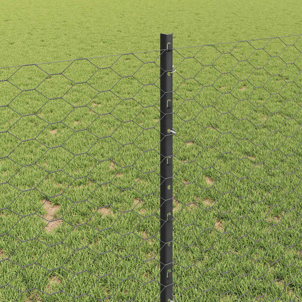 Recinzione in Rete Saldato Acciaio PVC 10 x 0,8 m