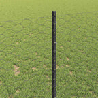 Recinzione in Rete Saldata Acciaio PVC 25 x 1 m