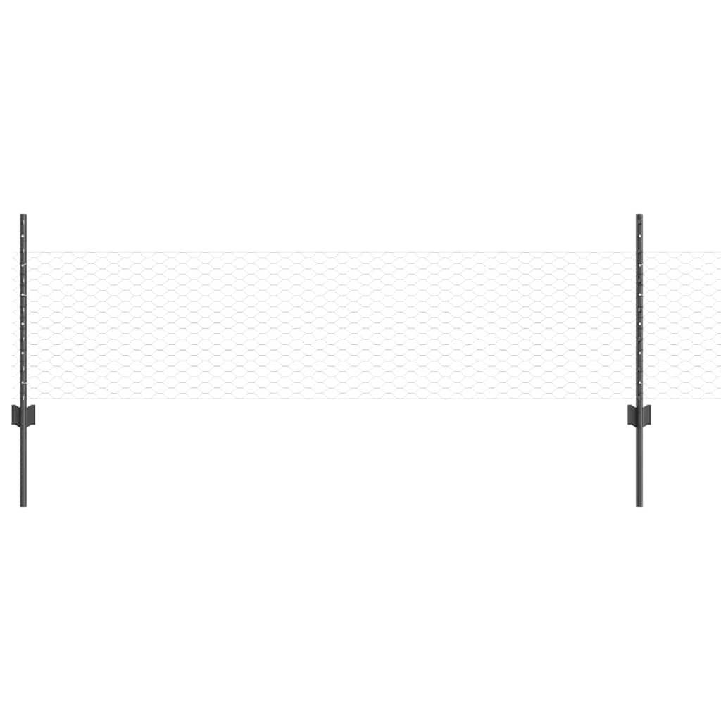 Recinzione in Rete Saldato Acciaio PVC 50 x 0,5 m