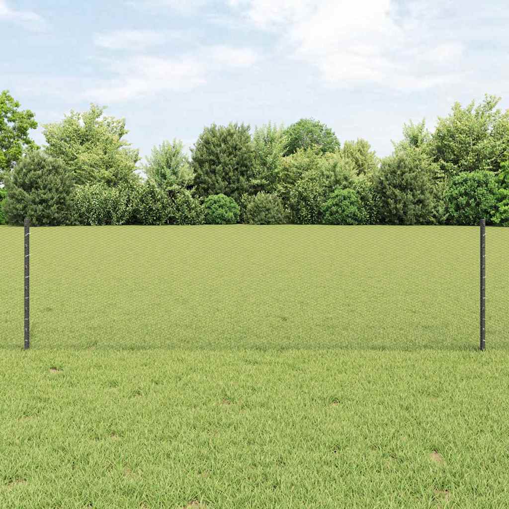 Recinzione in Rete Saldata Acciaio PVC 50 x 0,6 m