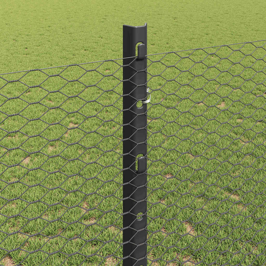 Recinzione in Rete Saldato Acciaio PVC 50 x 1,2 m
