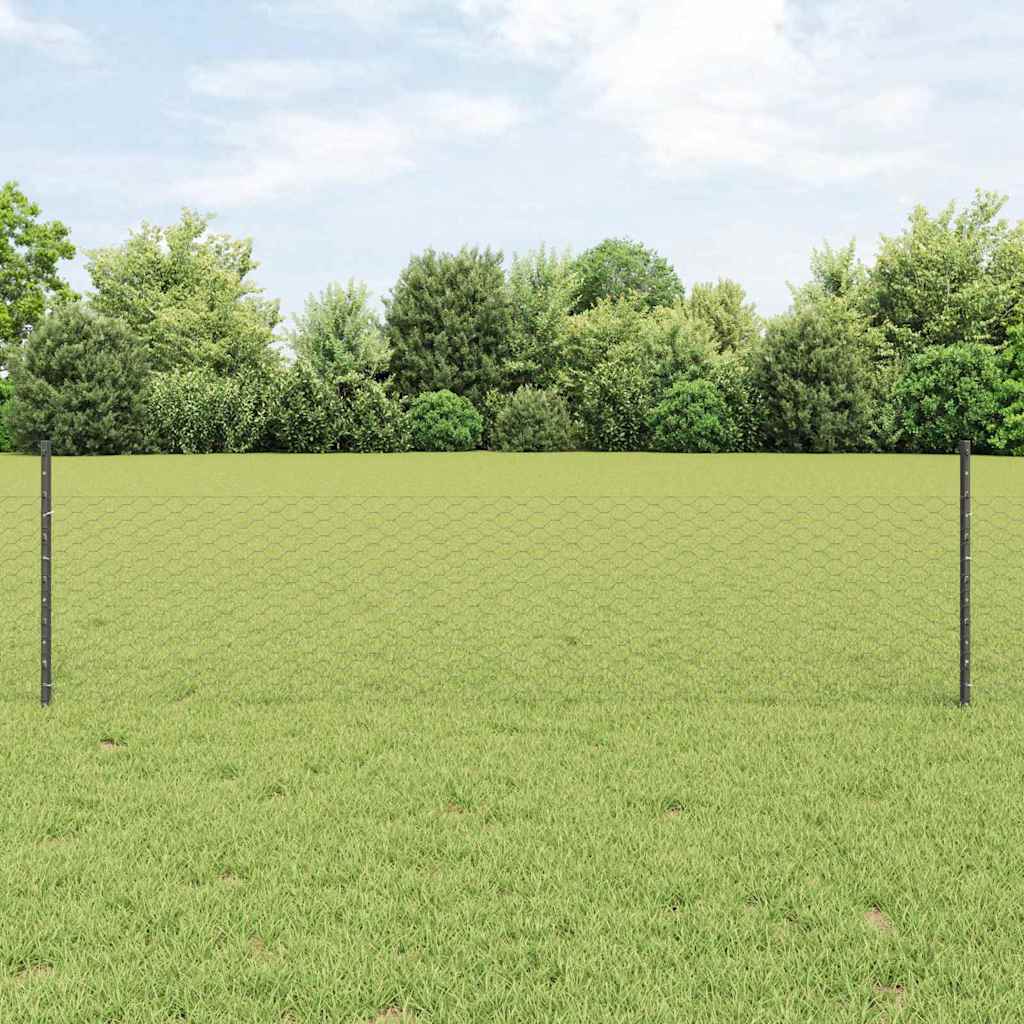 Recinzione in Rete Saldata Acciaio PVC 100 x 0,5 m - Grigio
