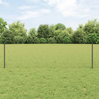 Recinzione in Rete Saldato Acciaio PVC 100 x 0,6 m