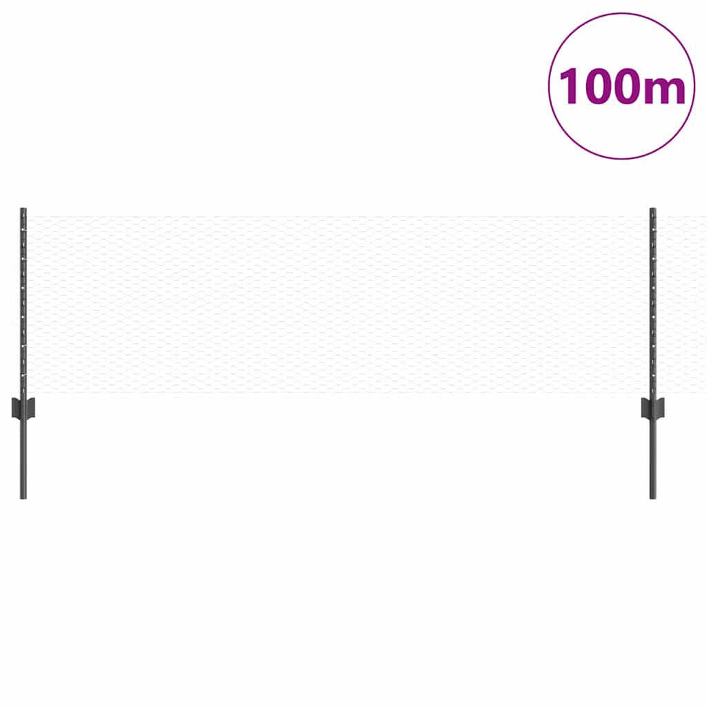Recinzione in Rete Saldato Acciaio PVC 100 x 0,6 m