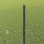 Recinzione in Rete Saldato Acciaio PVC 100 x 1 m