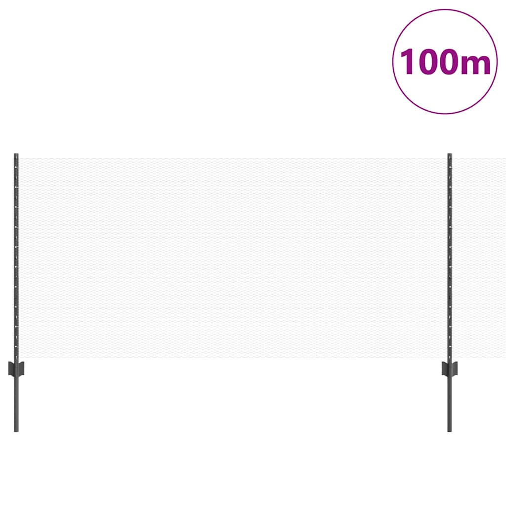 Recinzione in Rete Saldato Acciaio PVC 100 x 1 m