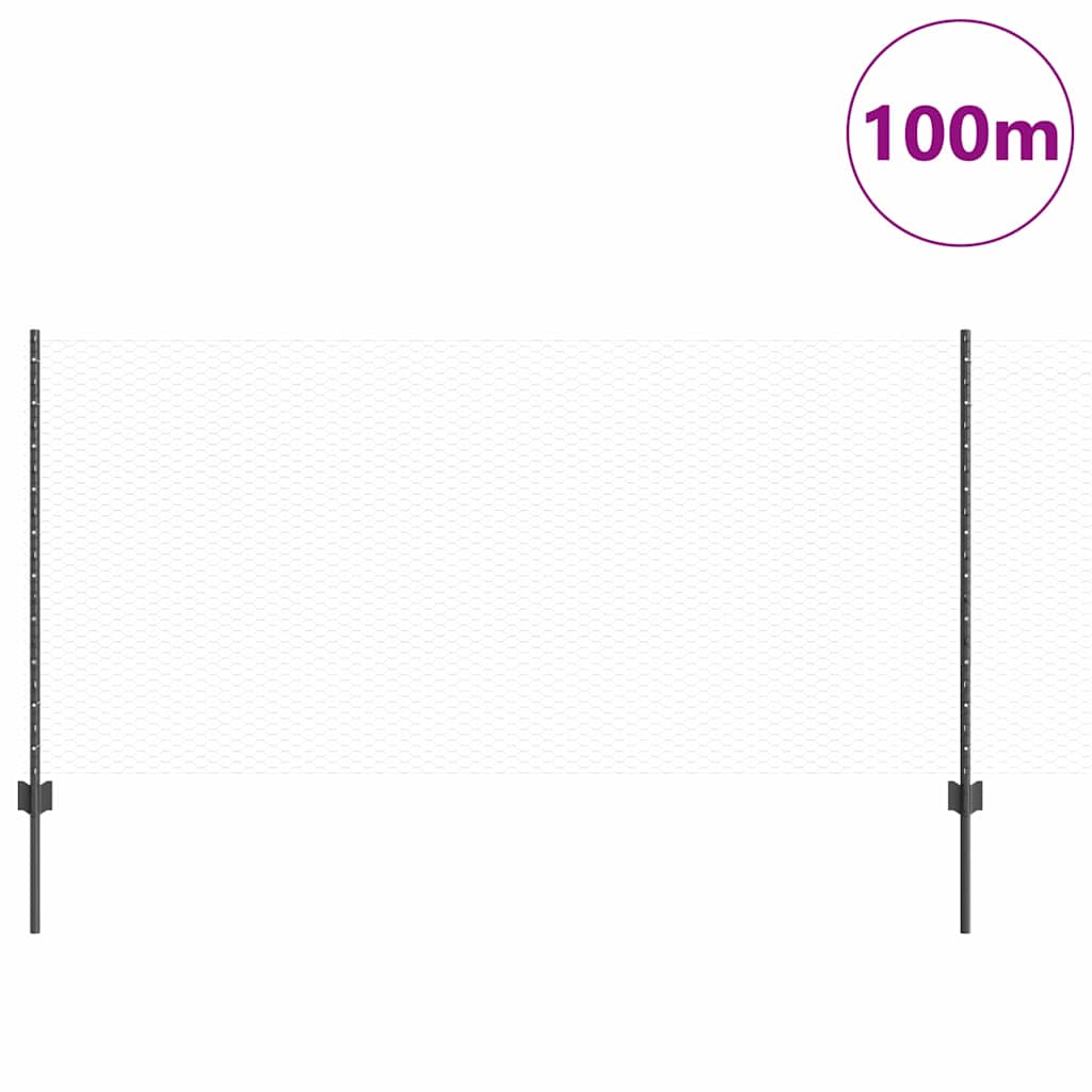 Recinzione in Rete Saldato 100 x 1 m - Acciaio Rivestito PVC Grigio