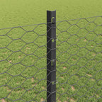 Recinzione in Rete Saldata Acciaio PVC 100 x 1,2 m