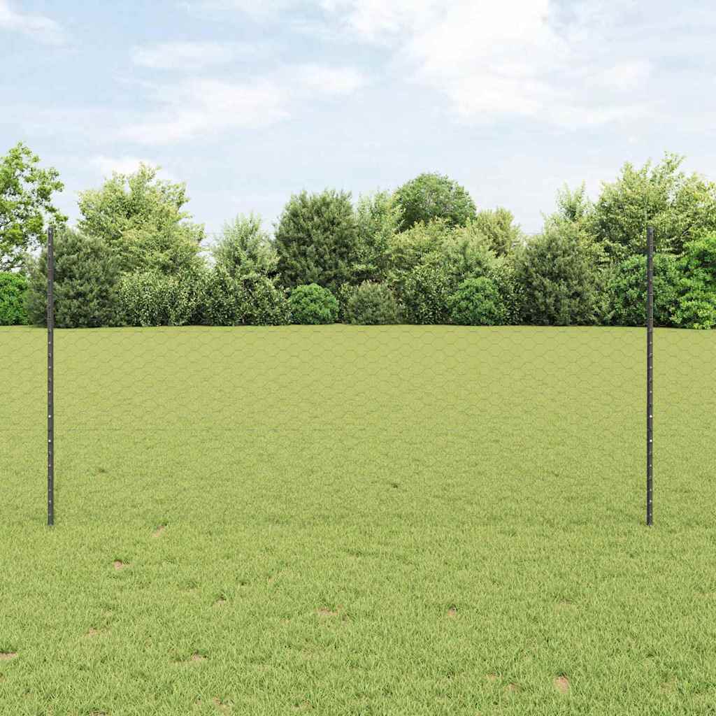 Recinzione in Rete Saldata Acciaio PVC Grigio 100 x 1,2 m