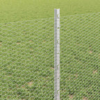 Recinzione in Rete Saldato Acciaio Zincato 10 x 0,6 m