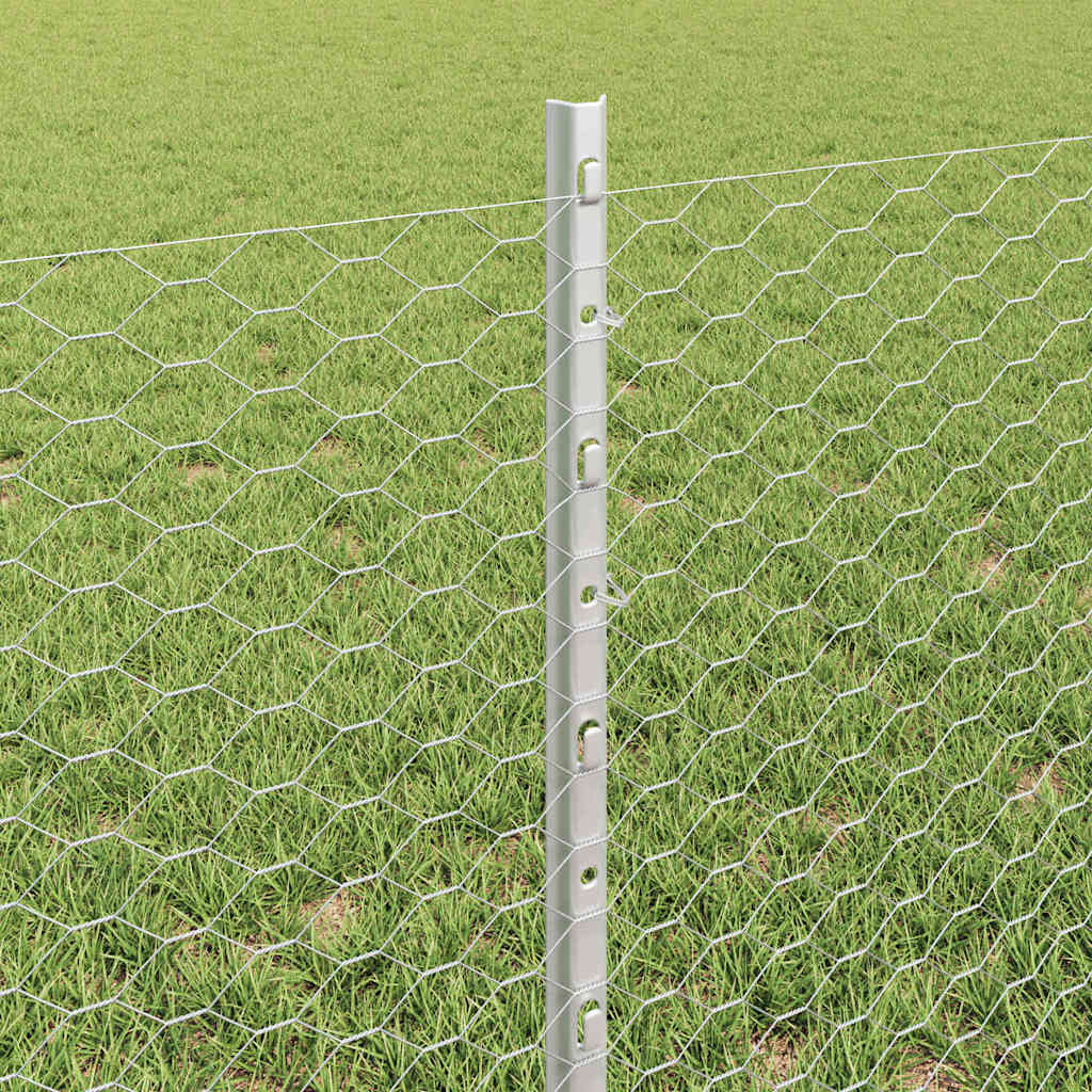 Recinzione in Rete Saldato 10 x 0,6 m Acciaio Zincato Argento