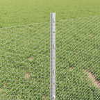 Recinzione in Rete Saldata Acciaio Zincato 25 x 0,4 m
