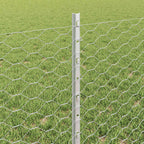 Recinzione in Rete Saldata 25 x 0,6 m - Acciaio Zincato Argento