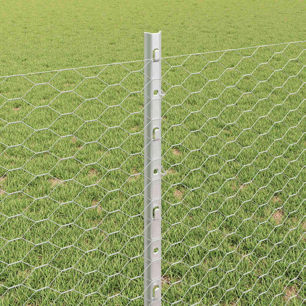 Recinzione in Rete Saldata 25 x 0,8 m - Acciaio Zincato Argento