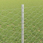 Recinzione in Rete Saldata Acciaio Zincato 25 x 0,8 m