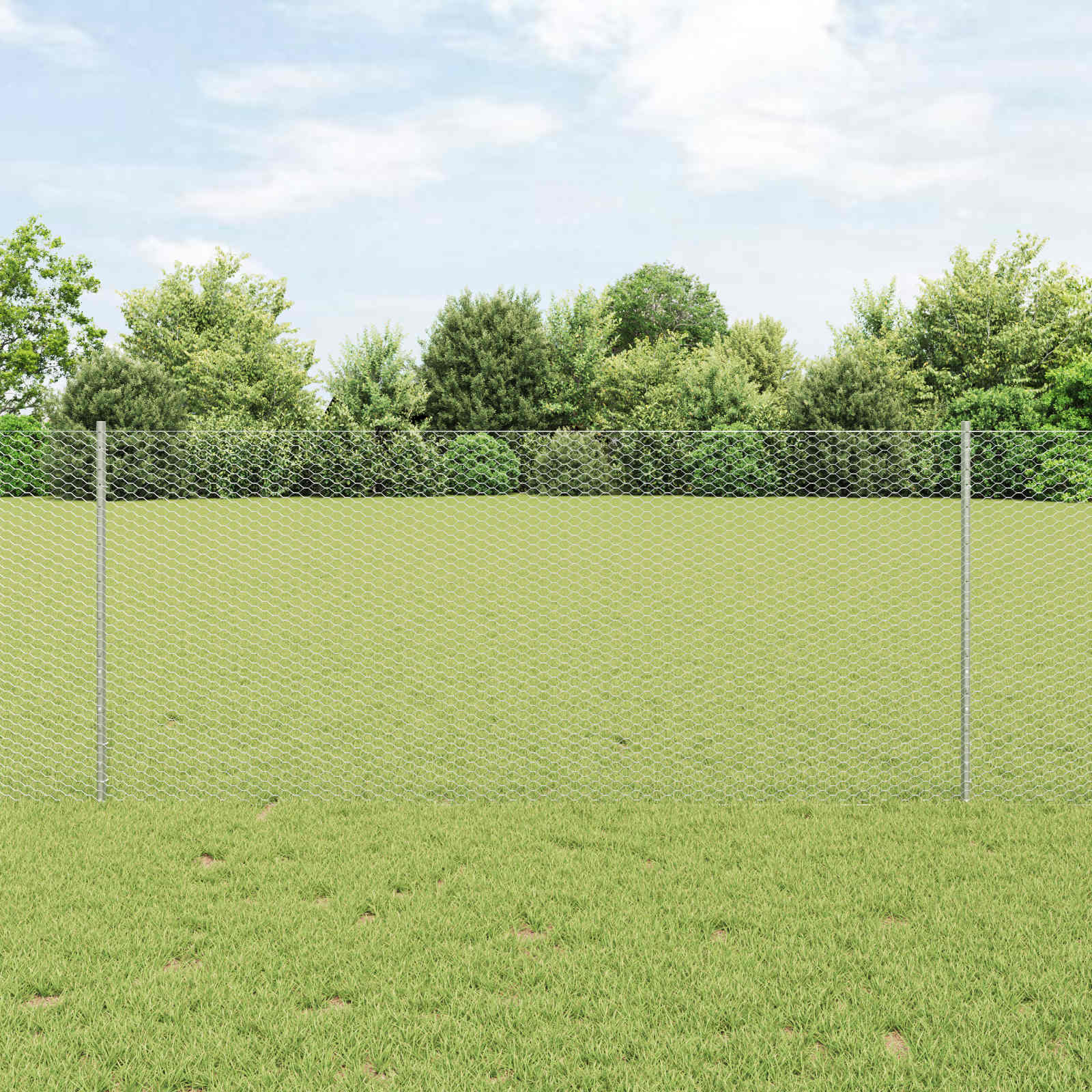 Recinzione in Rete Saldata Acciaio Zincato 25 x 1 m
