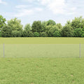 Recinzione in Rete Saldato Acciaio Zincato 50 x 0,4 m