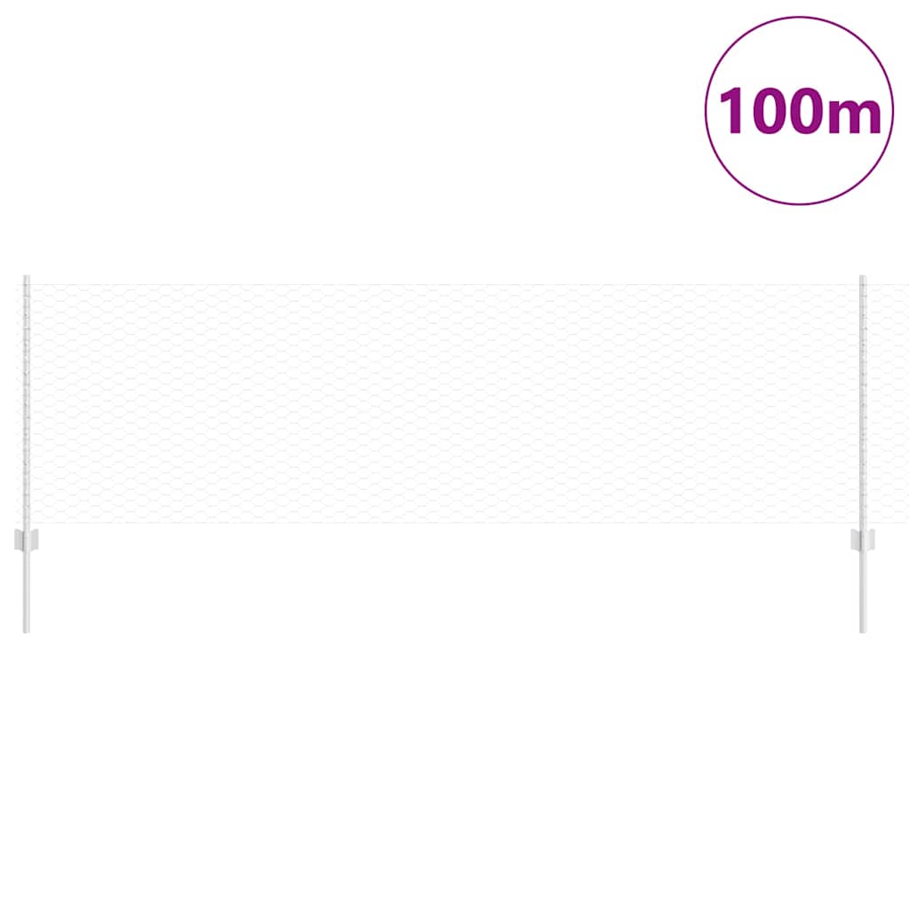 Recinzione in Rete Saldato Acciaio Zincato 100 x 0,8 m