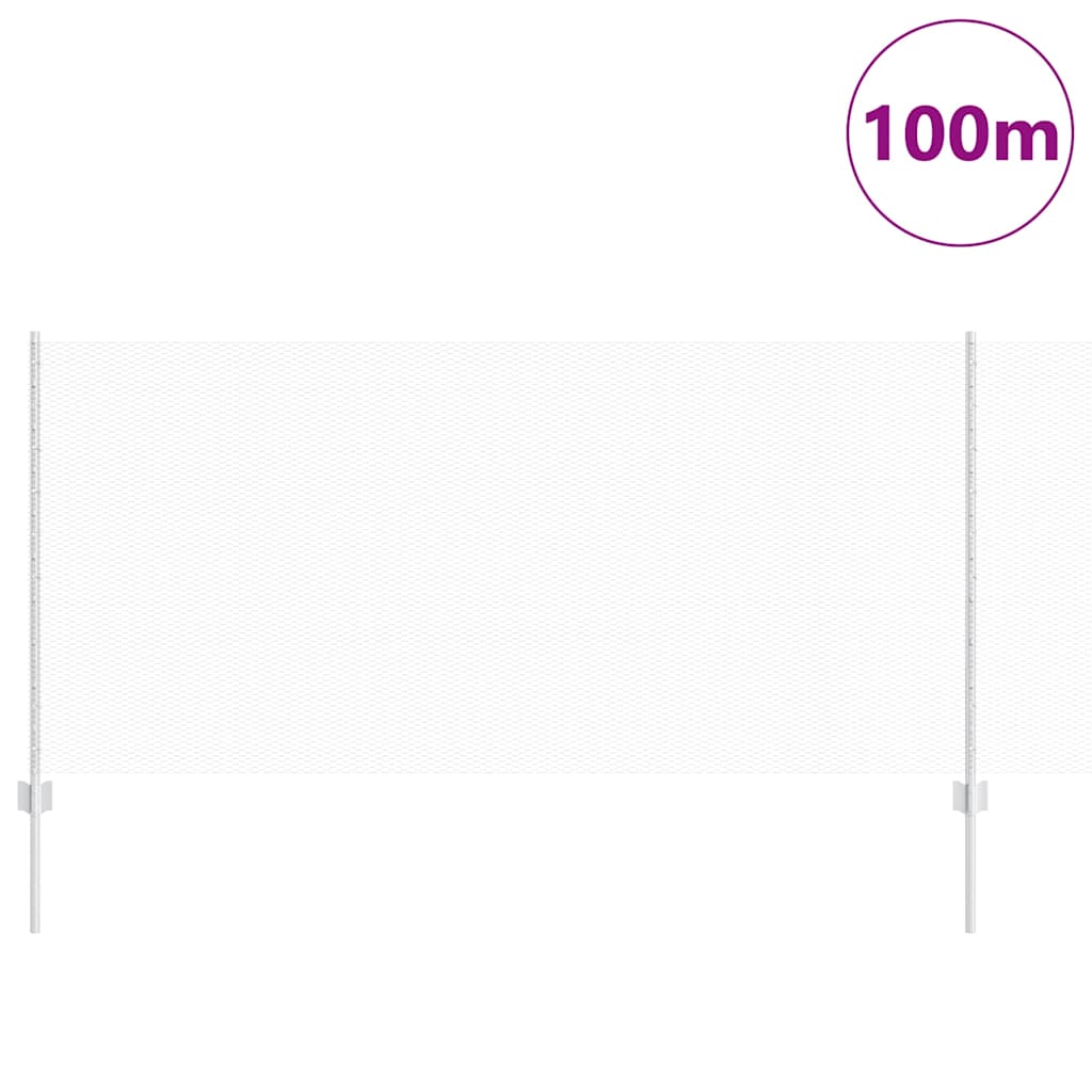 Recinzione in Rete Saldata Acciaio Zincato 100 x 1 m