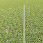 Recinzione in Rete Saldata Acciaio Zincato 100 x 1 m