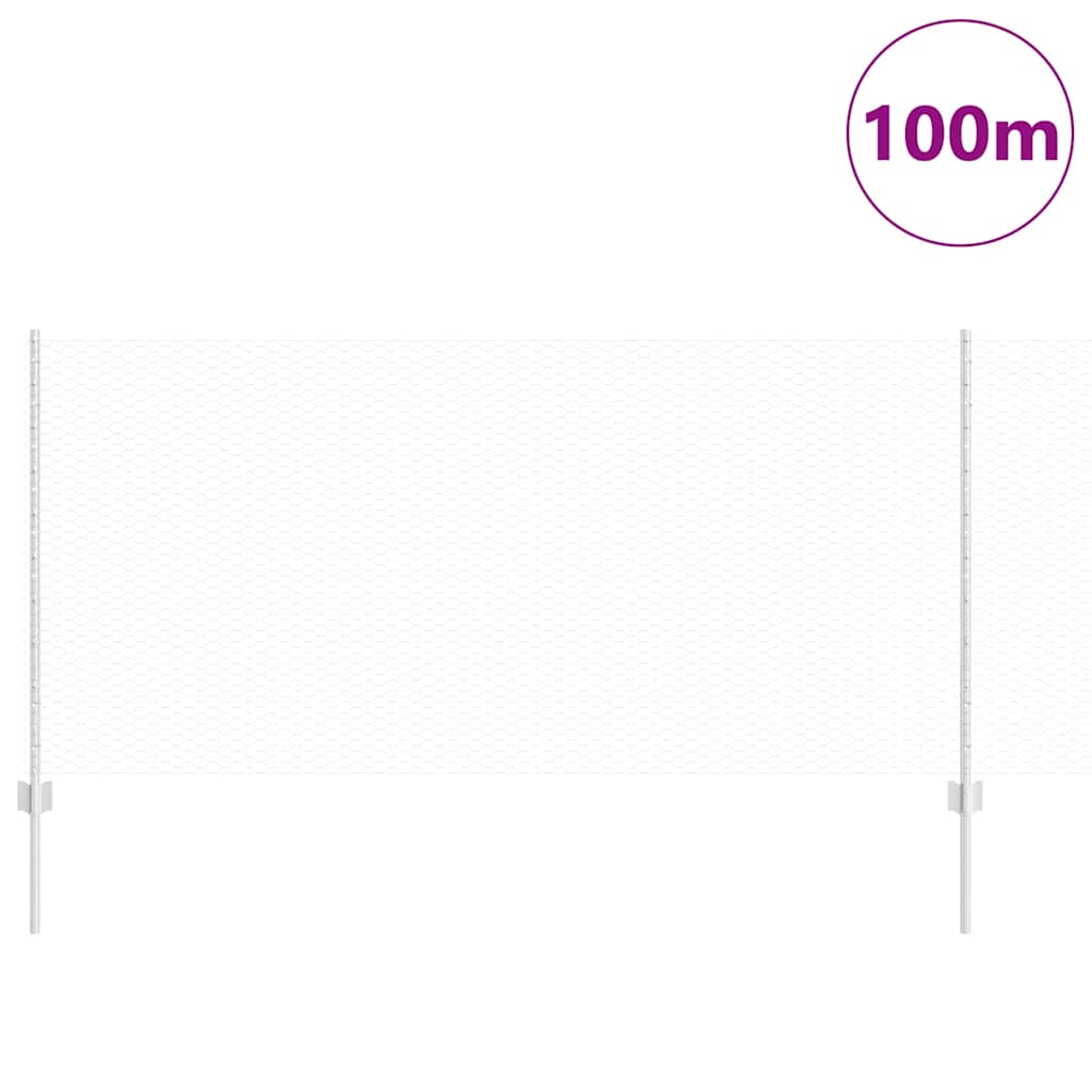 Recinzione in Rete Saldata Acciaio Zincato 100 x 1 m