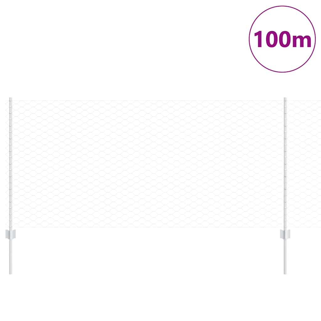 Recinzione in Rete Saldata Acciaio Zincato 100 x 1 m