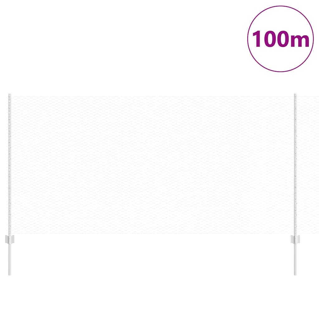 Recinzione in Rete Saldato Acciaio Zincato 100 x 1,2 m