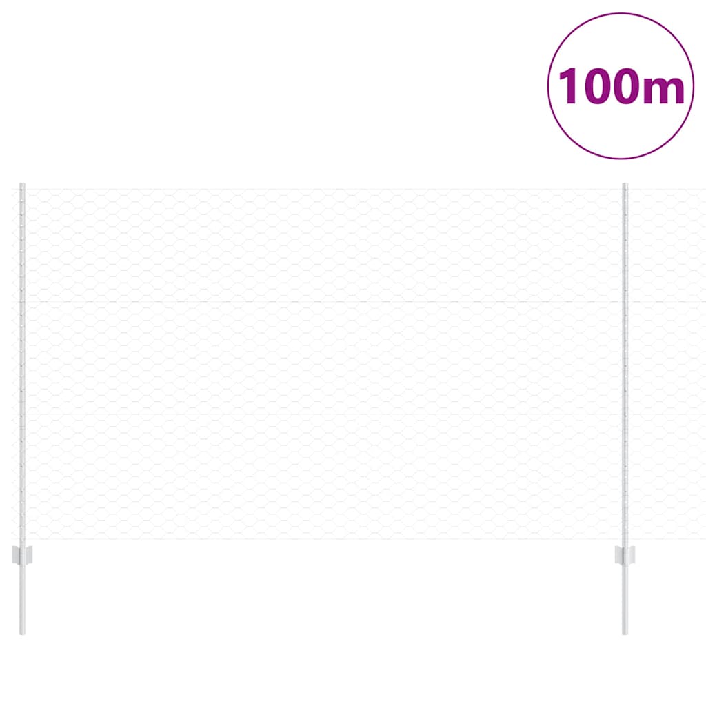 Recinzione in Rete Saldato Argento 100 x 1,4 m