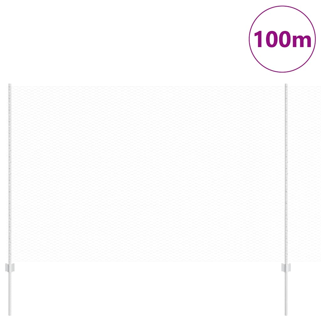 Recinzione in Rete Saldato Acciaio Zincato 100 x 1,6 m
