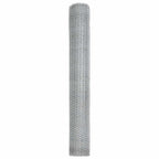 Recinzione Esagonale Argento 1 x 100 m Acciaio Zincato