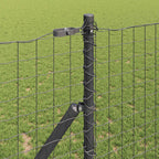 Palo della recinzione 12 pezzi acciaio grigio 160 cm