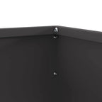 Bordura per Prato Nero 50 x 50 x 13 cm Acciaio