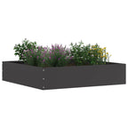 Bordura per Prato Nero Acciaio 60 x 60 x 13 cm
