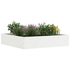 Bordura per Prato 6 pcs Bianco 60 x 60 x 13 cm Acciaio