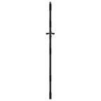 Cancello da giardino con blocco nero 85 x 175 cm