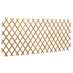 Recinto Trellis Espandibile in Bambù 2 pezzi Marrone Chiaro 100 x 105 cm