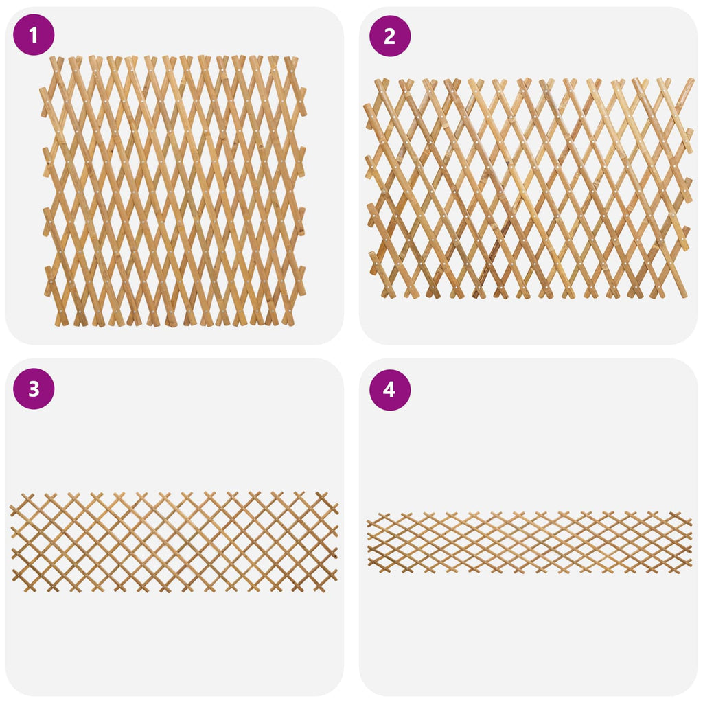 Recinto Trellis Espandibile in Bambù 2 pezzi Marrone Chiaro 100 x 105 cm