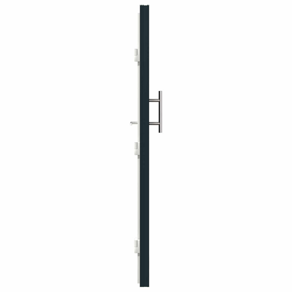 Porta Frontale Antracite 98 x 208 cm PVC