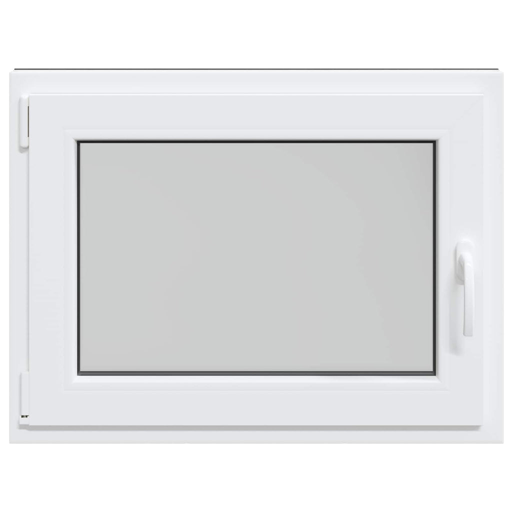 Finestra per Soffitta RISOR 100 x 50 cm PVC e Vetro Bianco
