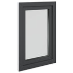 Finestra per Soffitta RISOR 60 x 80 cm PVC Antracite