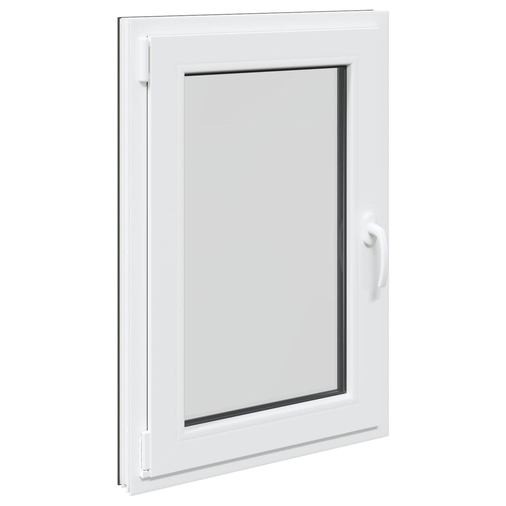 Finestra per Soffitta RISOR 60 x 100 cm PVC Antracite