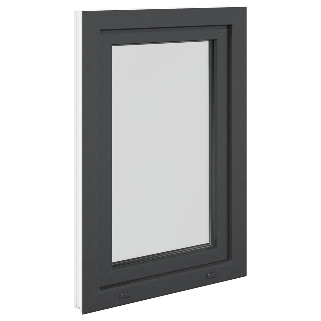 Finestra per Soffitta RISOR 60 x 100 cm PVC Antracite