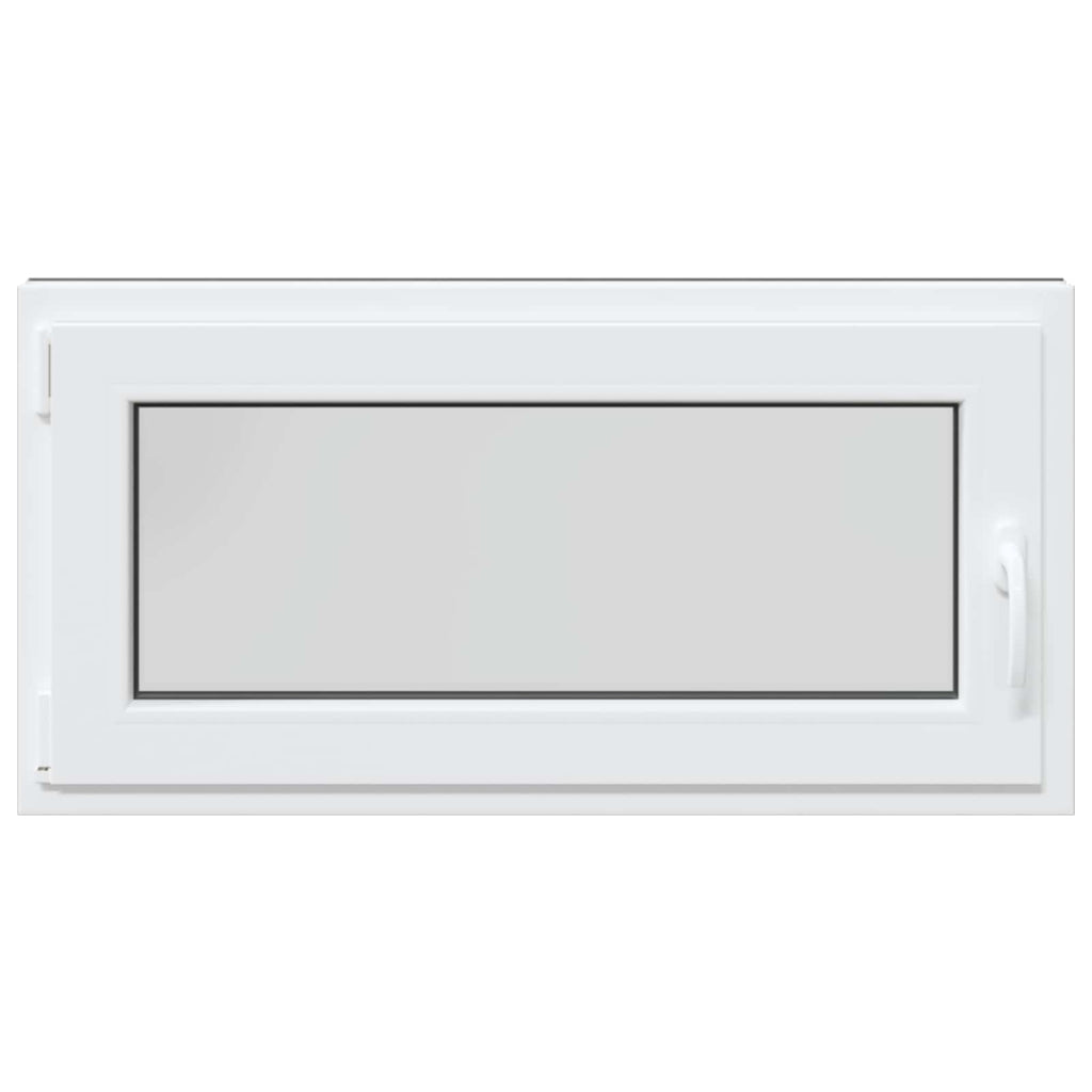 Finestra per Soffitta RISOR 100 x 50 cm PVC Antracite