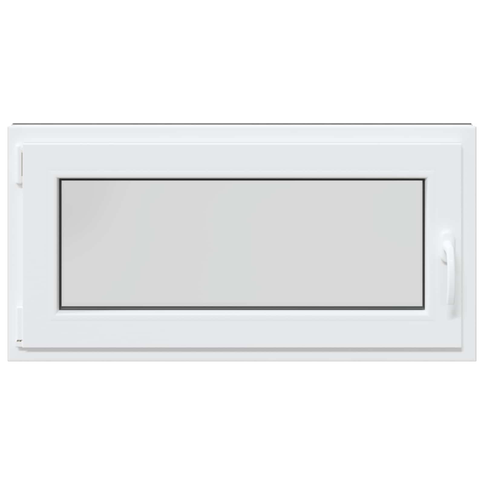 Finestra per Soffitta RISOR 100 x 50 cm PVC Antracite