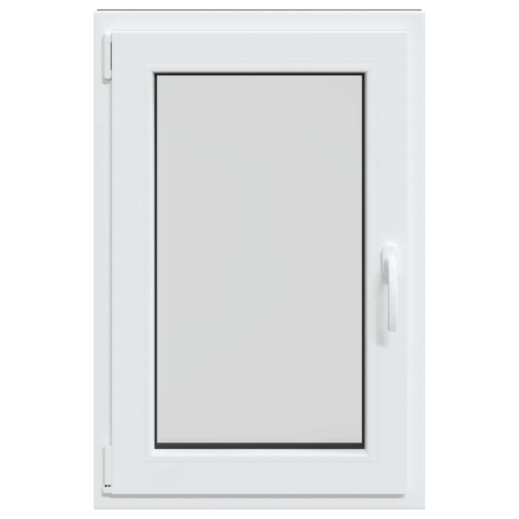 Finestra per Soffitta RISOR 60 x 100 cm PVC Antracite